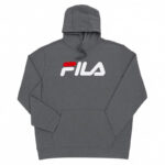 هودی ورزشی مردانه فیلا Fila Sport Hoodie 01 طوسی