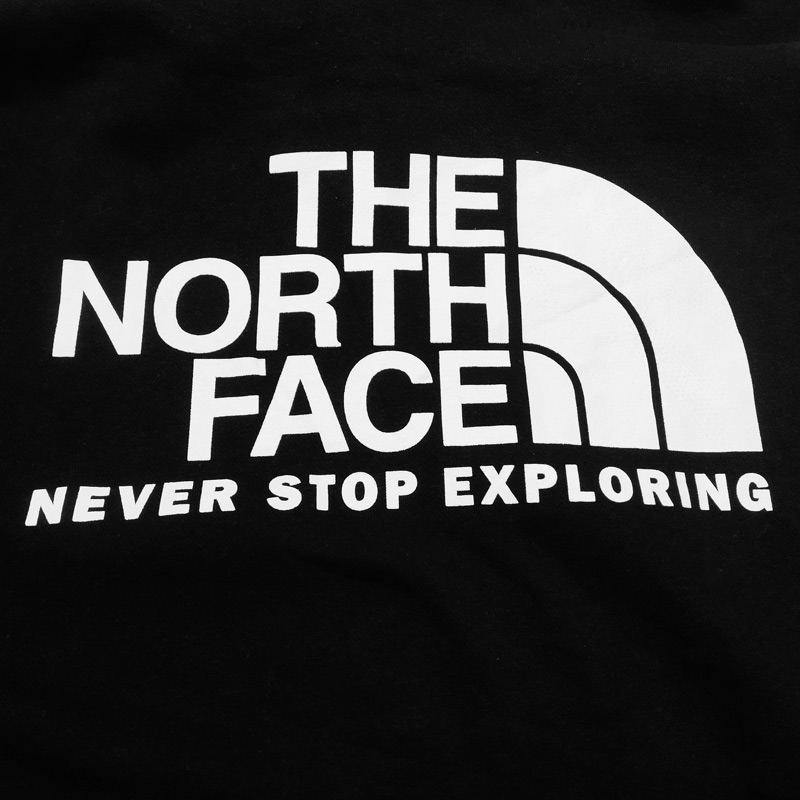 هودی ورزشی مردانه نورث فیس The North Face Sport Hoodie مشکی