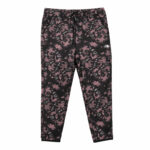 شلوار پشمی مردانه نورث فیس The North Face Alpine 100 Pant