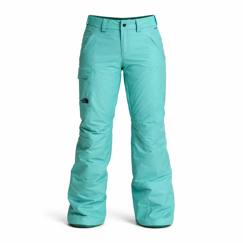 شلوار اسکی ضد آب زنانه نورث فیس The North Face Ski Pant سبز آبی